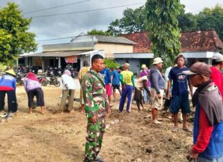 Kegiatan PKTD Pengurukan KDMP Desa Dimoro TA 2026 Berjalan Lancar Hingga Hari Terakhir
