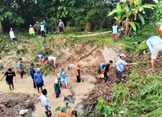 Kegiatan PKTD Desa Dimoro Dilaksanakan di Dusun Kuwojo Tahun Anggaran 2026