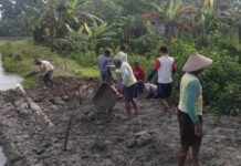 PKTD Buka Saluran Air Irigasi P3AI Kelompok Tani Margo Mulyo di Dusun Kuwojo